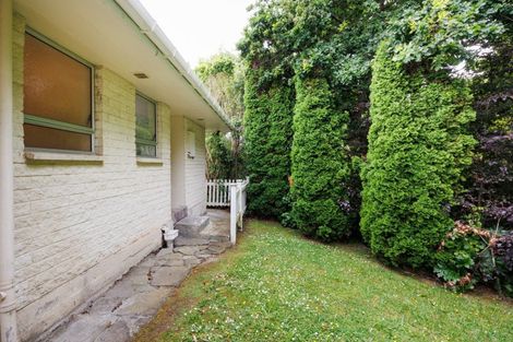 Photo of property in 478b College Street, Hokowhitu, Palmerston North, 4410