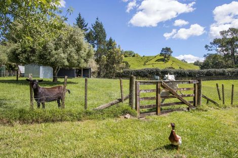 Photo of property in 234 Walford Road, Aongatete, Katikati, 3181