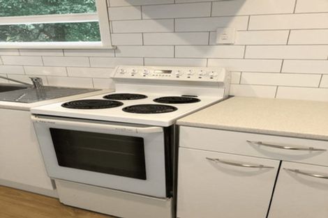 Photo of property in 163 Edgewater Drive, Pakuranga, Auckland, 2010