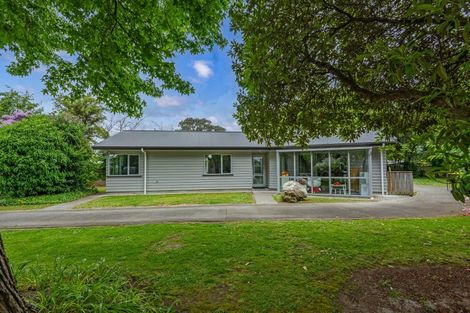 Photo of property in 21 Ormond Street, Woodville, 4920