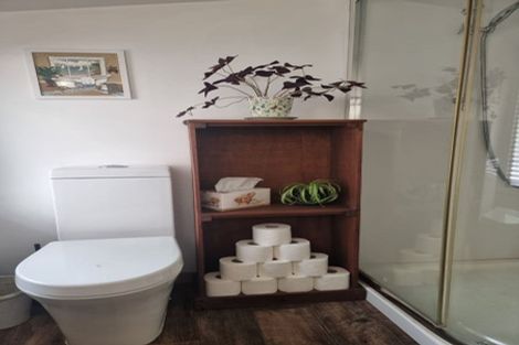 Photo of property in 39 Whitehaven Street, Lawrence, 9532