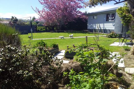 Photo of property in 131 Roxburgh Street, Heriot, Tapanui, 9587