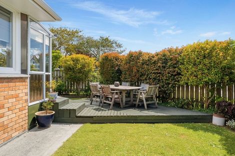 Photo of property in 2 Rimu Street, Gate Pa, Tauranga, 3112
