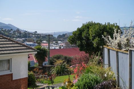 Photo of property in 28 College Street, Caversham, Dunedin, 9012