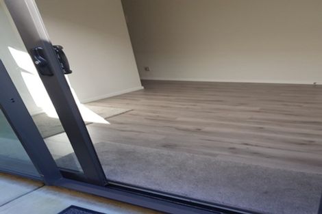 Photo of property in 17 Lime Hill Rise, Flat Bush, Auckland, 2019