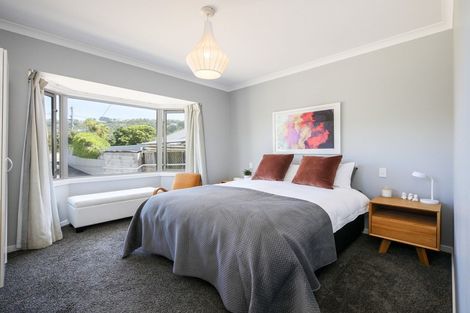 Photo of property in 227a Forbury Road, Saint Clair, Dunedin, 9012