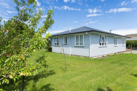 Photo of property in 30 Gordon Street, Mangapapa, Gisborne, 4010