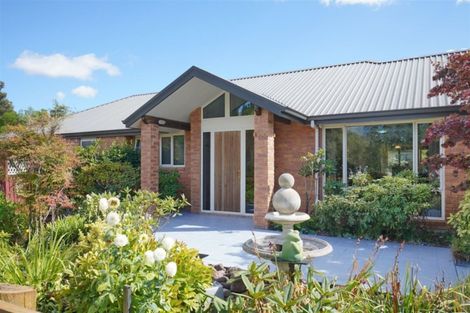 Photo of property in 17 Dover Street, Leithfield, Amberley, 7481