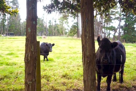 Photo of property in 42 Ridgewood Drive, Ridgewood, New Plymouth, 4371