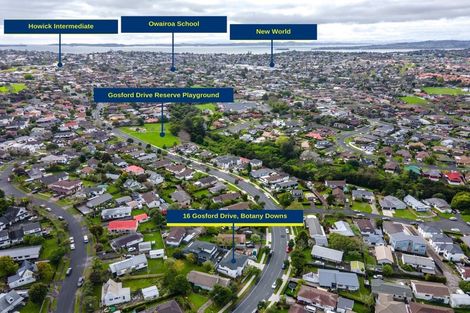 Photo of property in 16 Gosford Drive, Botany Downs, Auckland, 2010