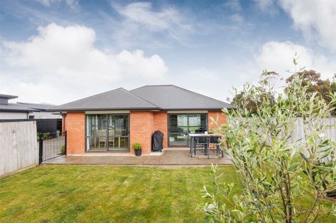 Photo of property in 137 Wyndham Street, Ashhurst, 4810