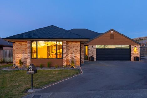 Photo of property in 51 Hope Drive, Witherlea, Blenheim, 7201