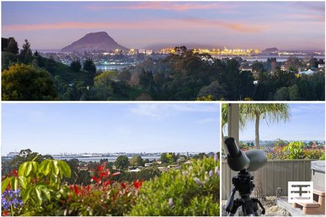 Photo of property in 88 Boscabel Drive, Ohauiti, Tauranga, 3112