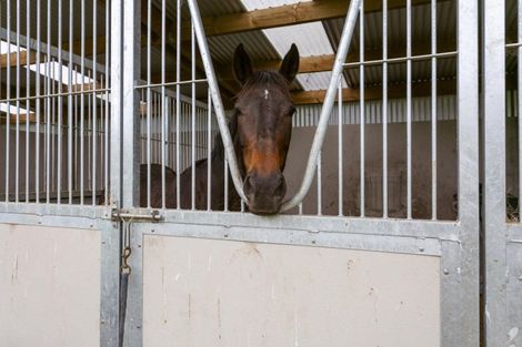 Photo of property in 1901 Tutukau Road, Ohakuri, Reporoa, 3083