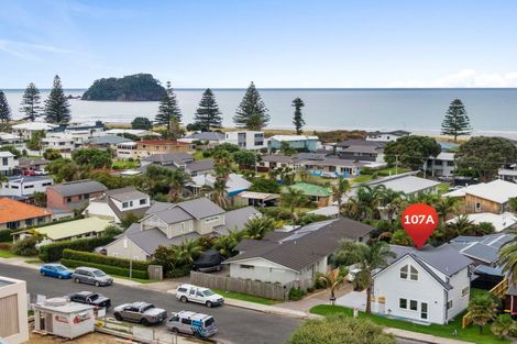 Photo of property in 107a Oceanview Road, Mount Maunganui, 3116