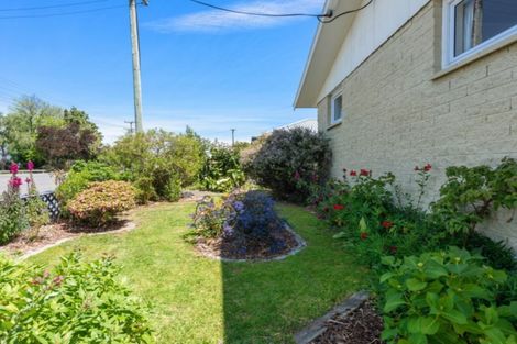 Photo of property in 19 Stephenson Street, Blenheim, 7201