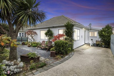 Photo of property in 42 Puketai Street, Andersons Bay, Dunedin, 9013