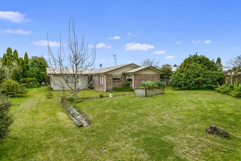 Photo of property in 9 Wrigley Place, Matamata, 3400
