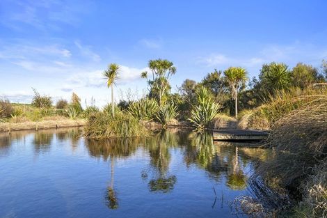 Photo of property in 499 Clark And Denize Road, Pukekawa, Tuakau, 2696