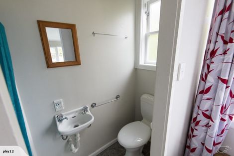 Photo of property in 52 Norway Street, Aro Valley, Wellington, 6012