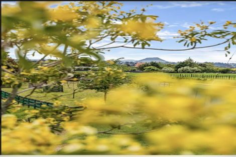 Photo of property in 278 Joyce Road, Pyes Pa, Tauranga, 3173