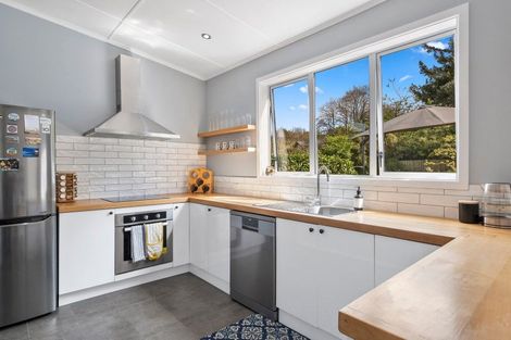Photo of property in 19 Jellicoe Crescent, Kaikorai, Dunedin, 9010