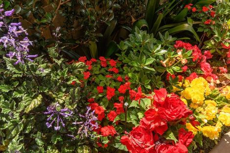 Photo of property in 70 Balmedie Ridge, Bethlehem, Tauranga, 3110