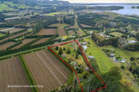 Photo of property in 28 Tuapiro Road, Tahawai, Katikati, 3170