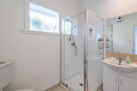 Photo of property in 51 Buckingham Street, Melrose, Wellington, 6023