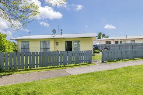 Photo of property in 10 Adkin Avenue, Levin, 5510