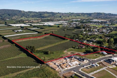 Photo of property in 81 Dunlop Road, Te Puke, 3119