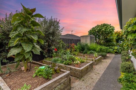 Photo of property in 35 Saint Michaels Avenue, Bethlehem, Tauranga, 3110