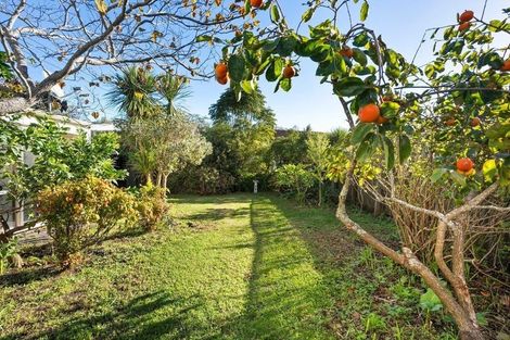 Photo of property in 13 Wicklow Road, Narrow Neck, Auckland, 0622