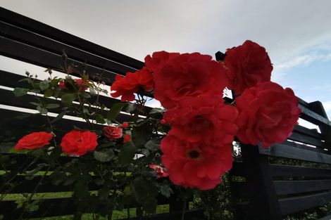 Photo of property in 9 Knoll Rise, Pukekohe, 2120