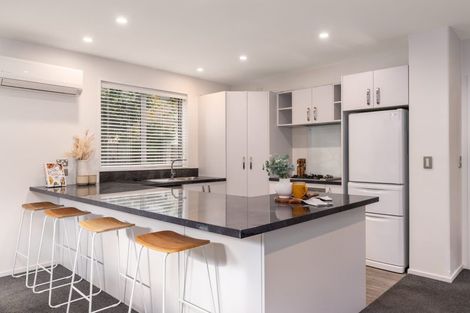 Photo of property in 1b Amstel Lane, Richmond, Christchurch, 8013