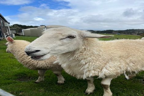 Photo of property in 24b Bethells Road, Waitakere, Auckland, 0816