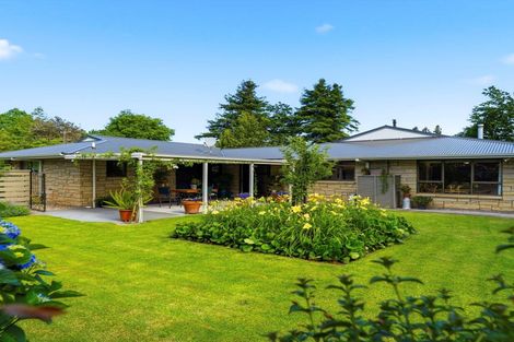 Photo of property in 41 Walmsley Road, Waihi, 3610