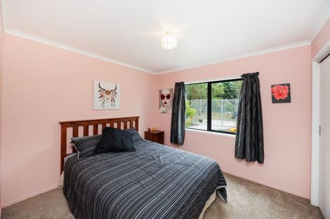 Photo of property in 264 Motuiti Road, Foxton, 4891