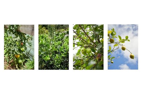 Photo of property in 52c Williams Road South, Pyes Pa, Tauranga, 3173