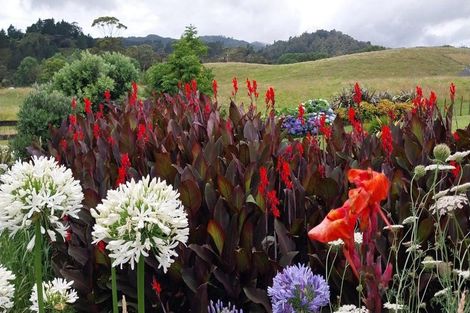 Photo of property in 19 Victoria Street, Coromandel, 3506