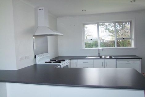 Photo of property in 217 Union Street, Milton, 9220