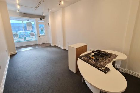 Photo of property in 107 Vivian Street, Te Aro, Wellington, 6011
