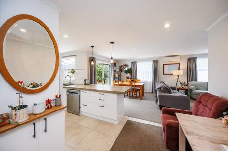 Photo of property in 7 Salisbury Avenue, Terrace End, Palmerston North, 4410