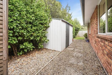 Photo of property in 24 Mickelson Avenue, Rototuna, Hamilton, 3210