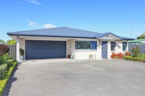 Photo of property in 528 Wall Road, Raureka, Hastings, 4120