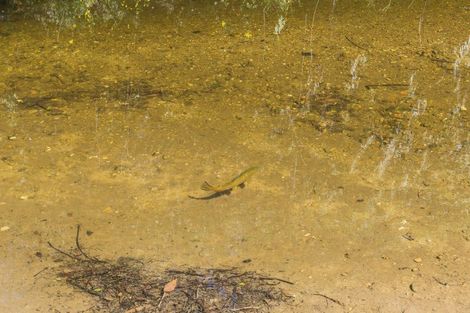 Photo of property in 542 Tadmor-glenhope Road, Tadmor, Wakefield, 7096