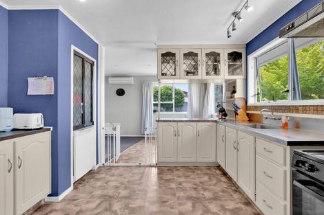 Photo of property in 5 Winning Terrace, Dinsdale, Hamilton, 3204