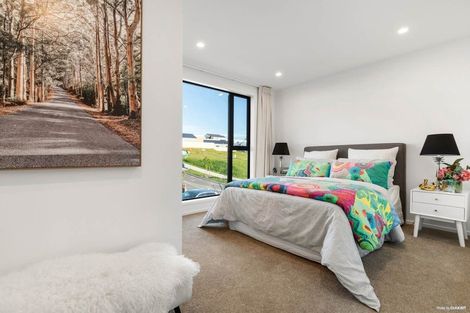 Photo of property in 55 Oopunga Road, Pukekohe, 2120