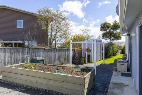 Photo of property in 29 Parekaawa Drive, Motuoapa, Turangi, 3382