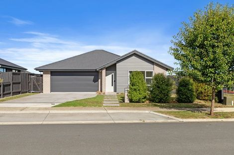 Photo of property in 17 Morrin Street, Morrinsville, 3300
